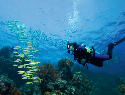 Sörf yapılabilecek en gözde sahiller