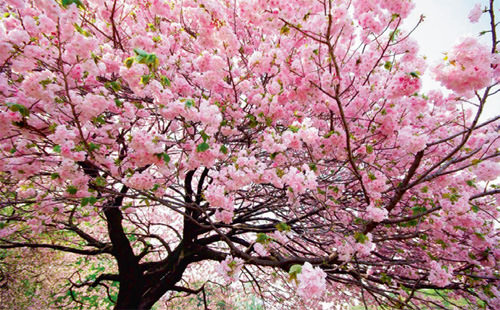 Trendini seç, tarzını belirle!