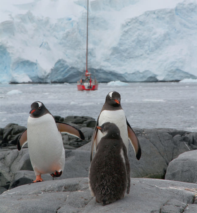Osman Atasoy-Sibel Karasu