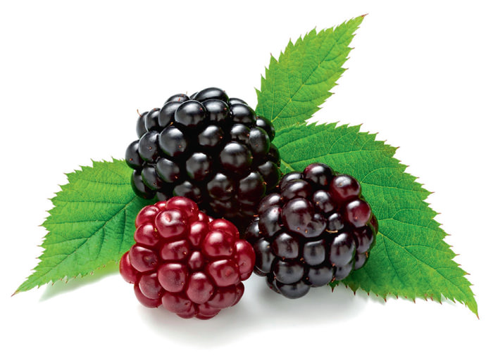 C vitamini yağ yakımını hızlandırır