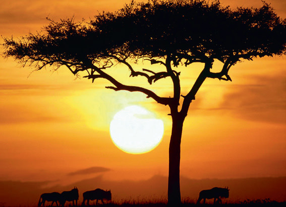 2013 Seyahat trendleri