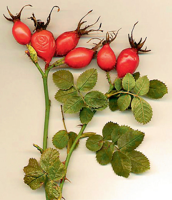 C vitamini yağ yakımını hızlandırır