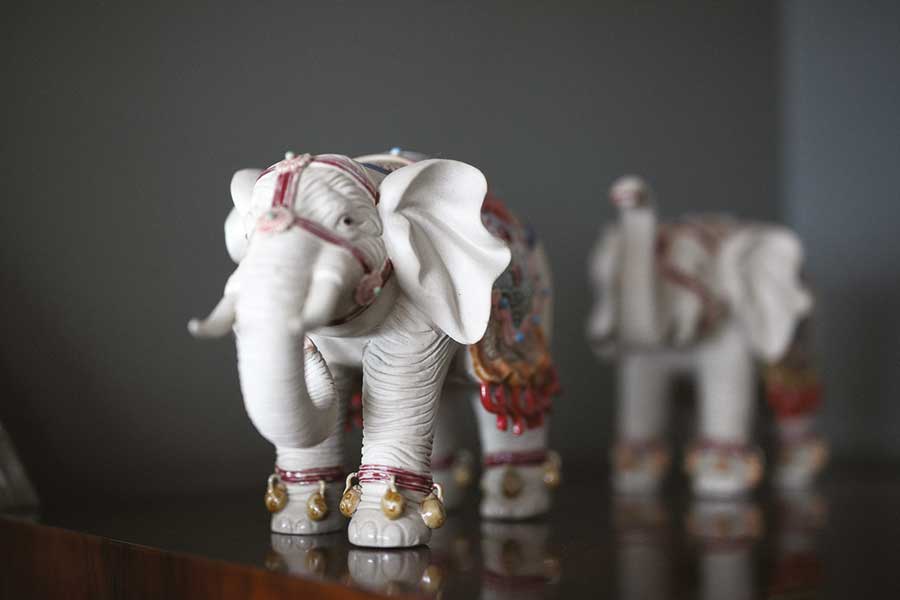 Ceylan Çapa'ya dair her şey