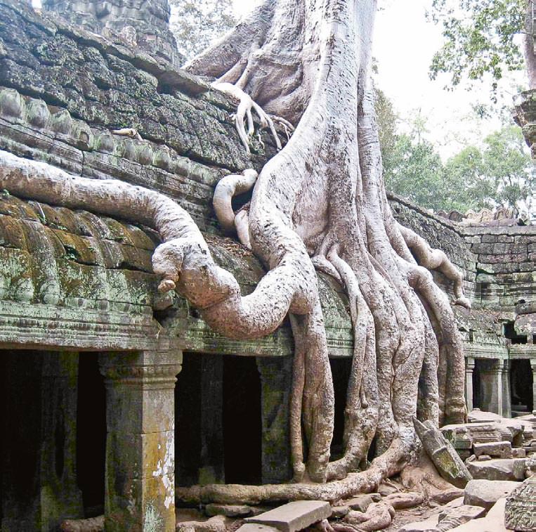 Tapınaklar ve acılar ülkesi 'Kamboçya'
