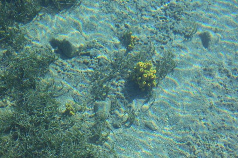 Marmaris'in huzur cenneti: Selimiye