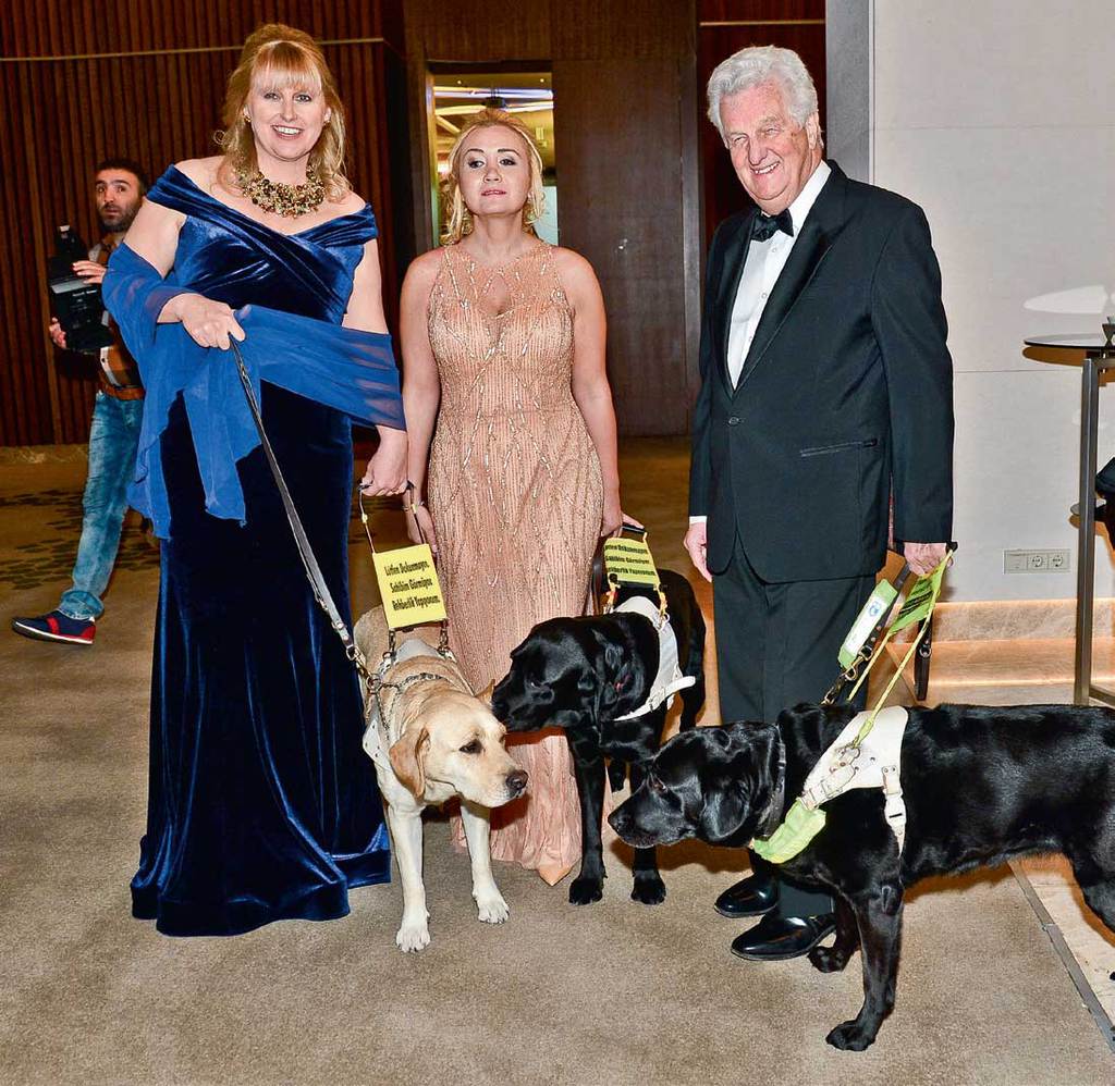 Rehber köpekler hizmete hazır