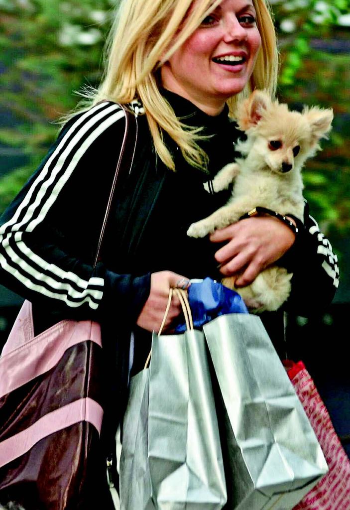 Elitlerin vazgeçilmez minik dostları: Pomeranian