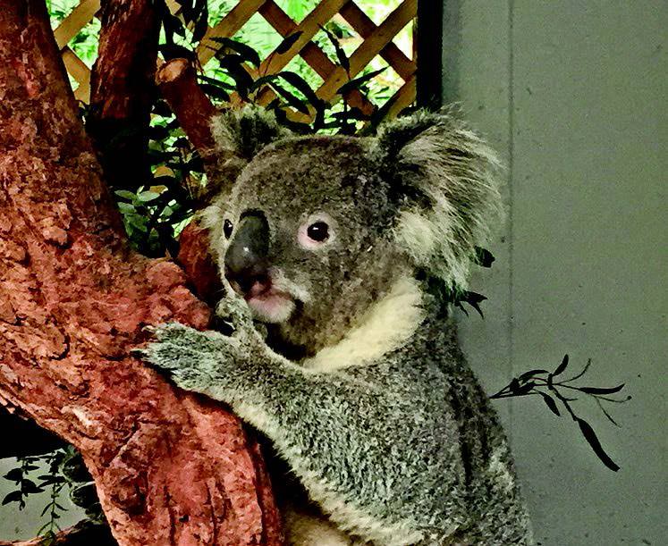 "Bir arada olduğumuz her tatil çok güzel"
