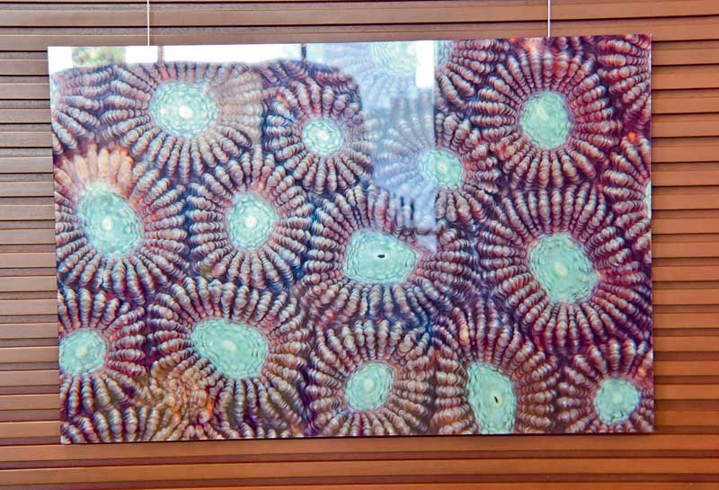 Dinçkök hastanede sergi açtı