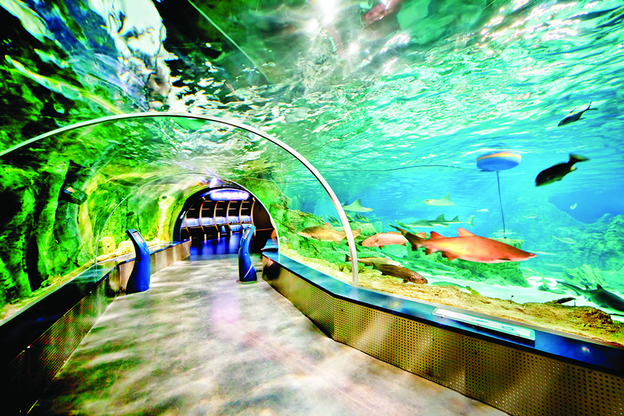 Ünlü isimler İstanbul Akvaryum'da buluştu