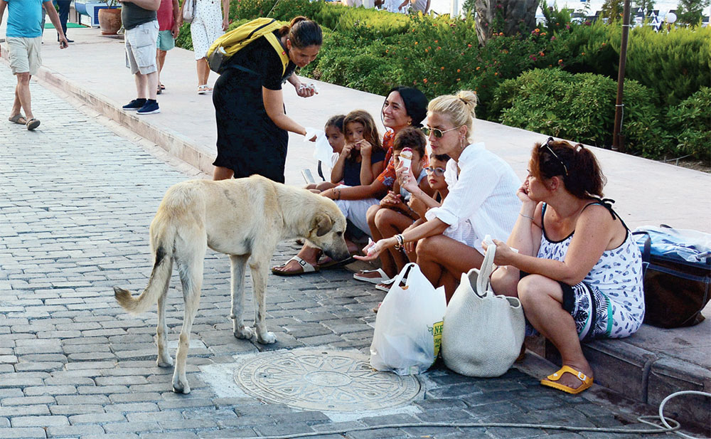 SOKAKLAR (8 AĞUSTOS 2018)