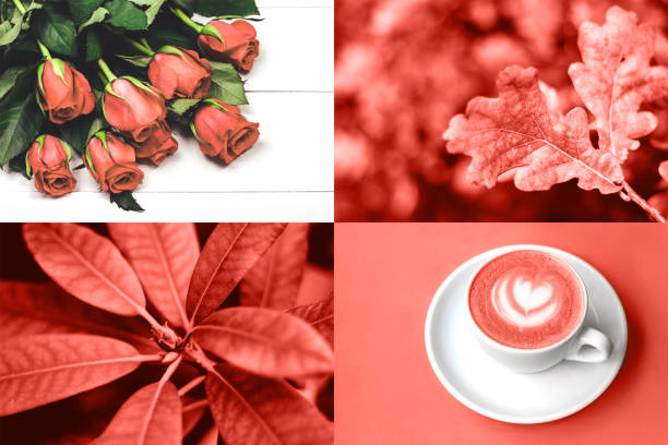 Yeni Yılın Rengi: Canlı Mercan