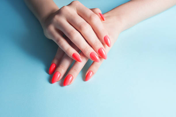 Yeni Yılın Rengi: Canlı Mercan