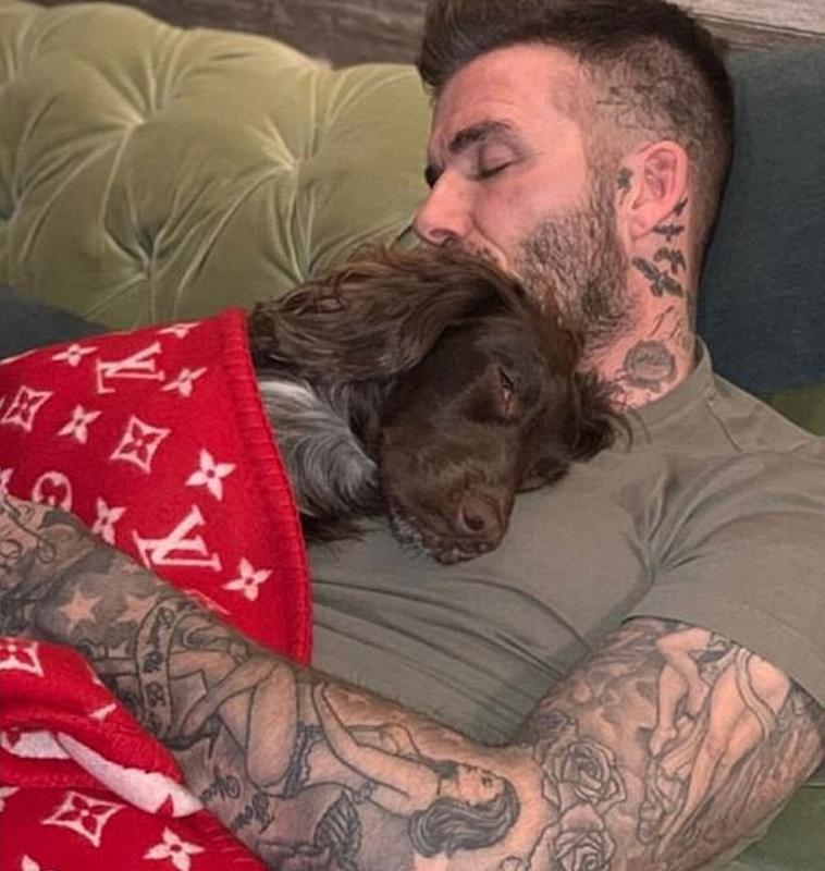 Victoria Beckham, kendi kanından krem yaptırdı