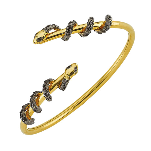 Yılanların dönemi 