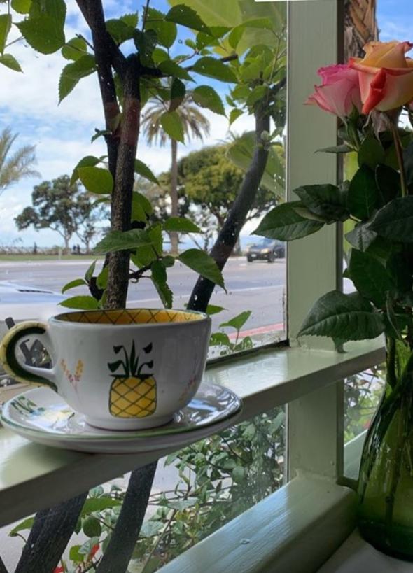 Sinem Kobal Amerika'da