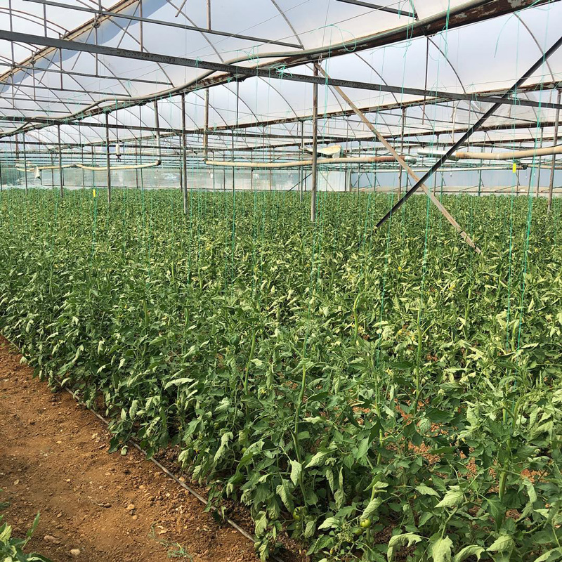 Ender Alkoçlar organik tarım işine girdi