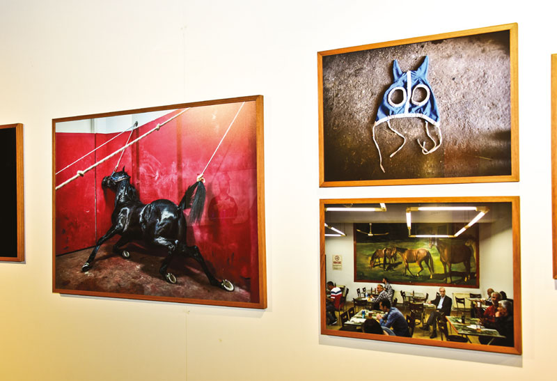 Sanatseverlerden ‘Mamut’a büyük ilgi