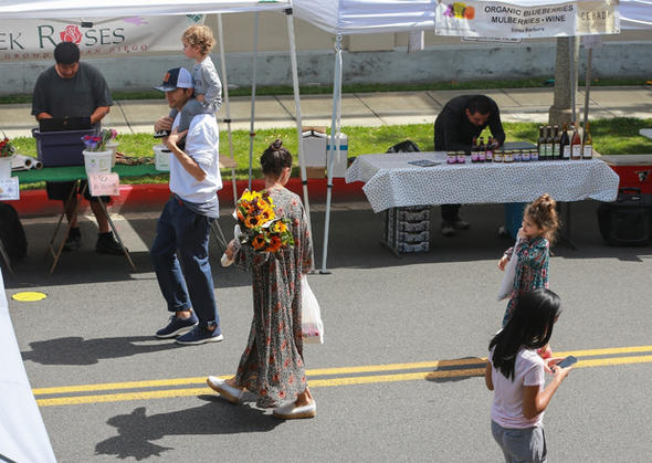 Mila Kunis ve Ashton Kutcher çocuklarıyla pazara gitti