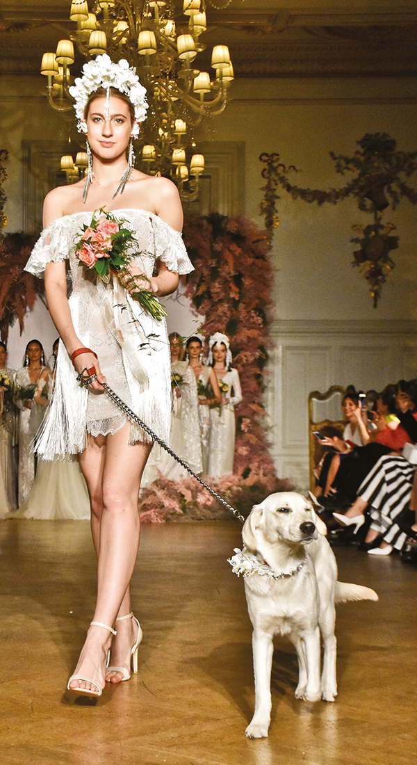 Bembeyaz bir koleksiyon