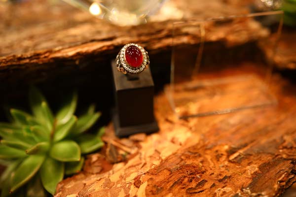 Söyleşide buluştular