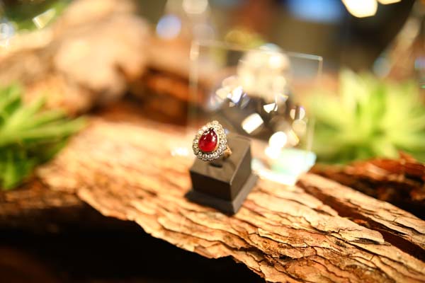 Söyleşide buluştular