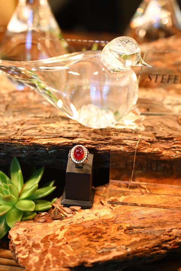 Söyleşide buluştular