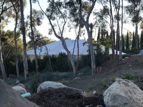 Chris Pratt ve Arnold Schwarzenegger evlendi