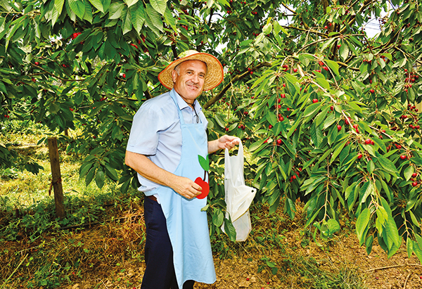 Kiraz festivali ile eğitime destek