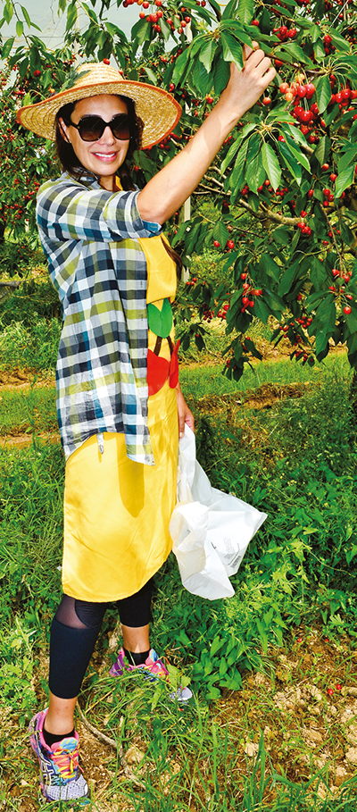 Kiraz festivali ile eğitime destek