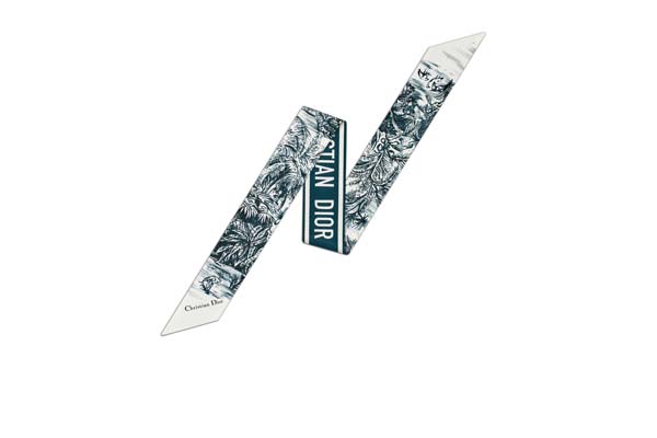 Dior İlkbahr/Yaz 21 kapsül koleksiyonu