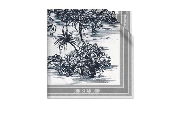 Dior İlkbahr/Yaz 21 kapsül koleksiyonu