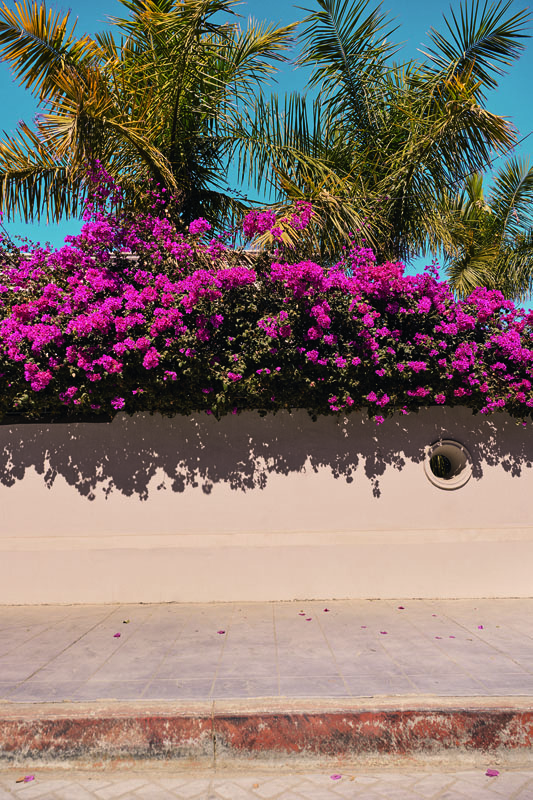 Dior Dioriviera Pop-Up ve Konsept Mağazalar Kapılarını Açtı