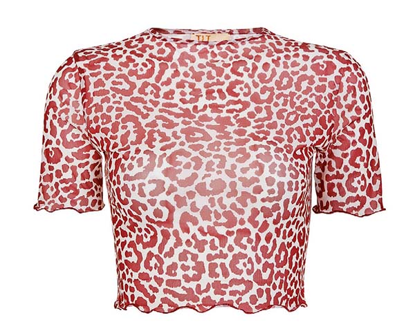 Yazın vazgeçilmezi