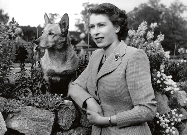 Benzersiz bir adanmışlık hikayesi