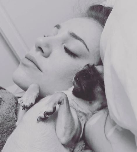 Ünlü isimler ve sevimli dostları