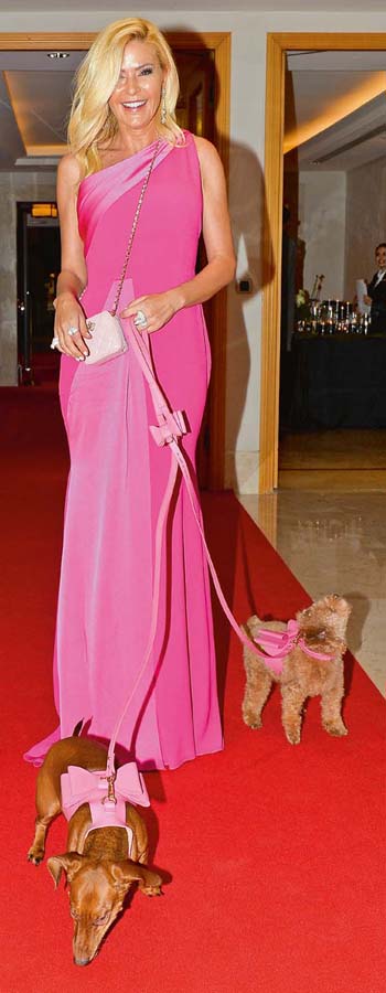 Sokak hayvanları için şık gala