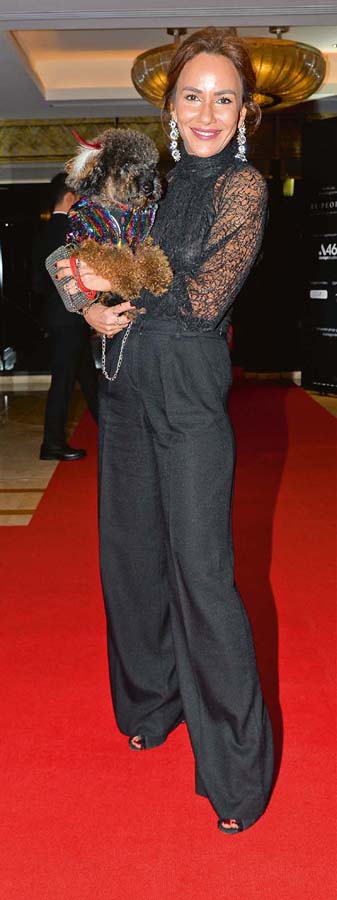 Sokak hayvanları için şık gala