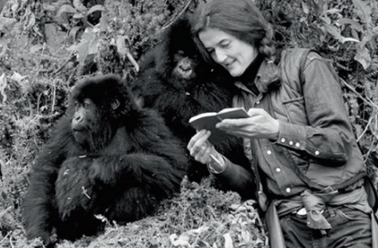 Dian Fossey