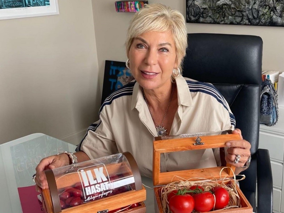 Domates toplama zamanı