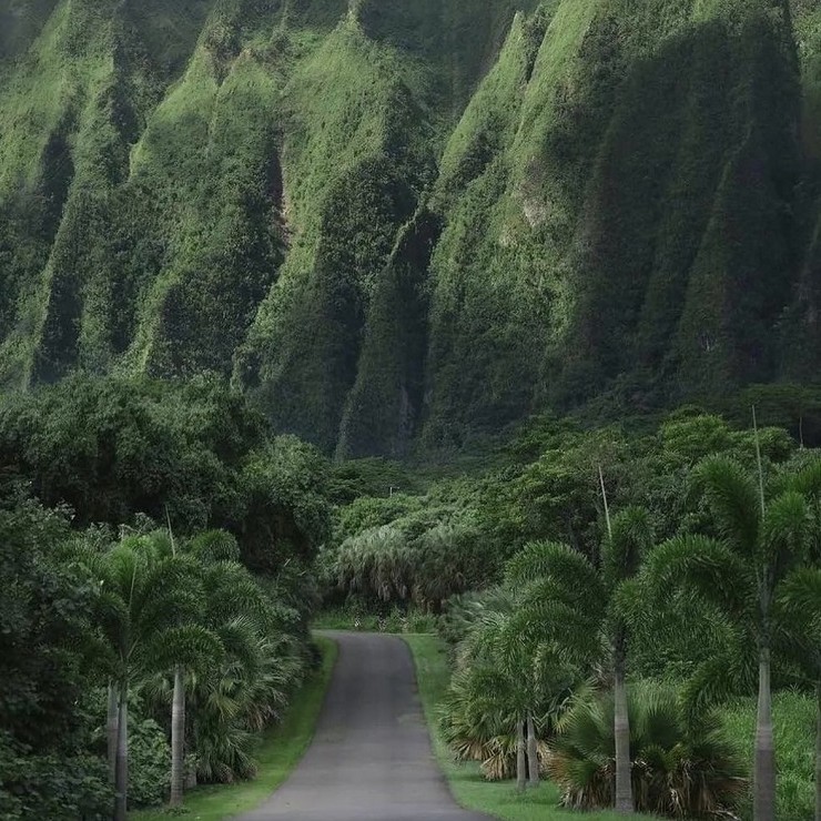 Haftalık burç yorumları