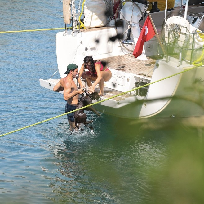 Pınar Deniz ve Kaan Yıldırım Köpekleriyle Teknede