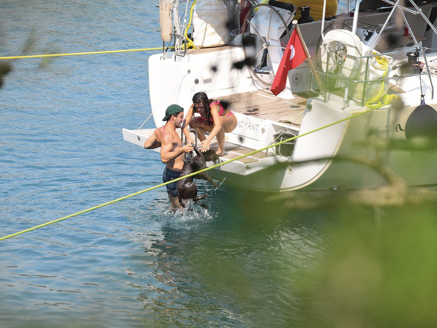 Pınar Deniz ve Kaan Yıldırım Köpekleriyle Teknede
