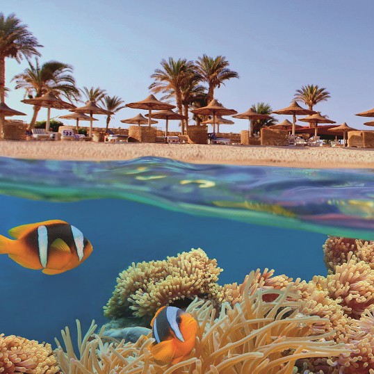 Kışın Yaz Tatili İçin Çok Cazip Bir Yer: Hurgada