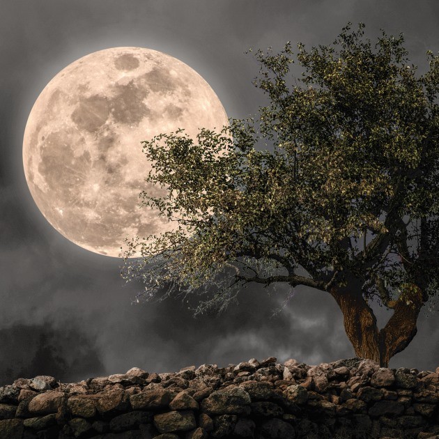 13 Nisan'da Terazi Burcunda Gerçekleşen Dolunayın Burçlara Etkileri