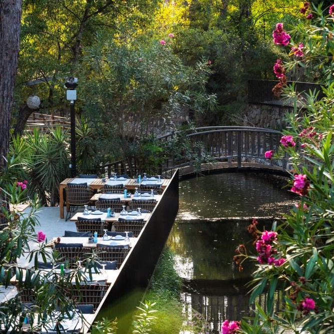 Doğanın Kalbinde Sürdürülebilir Lüks Deneyimi