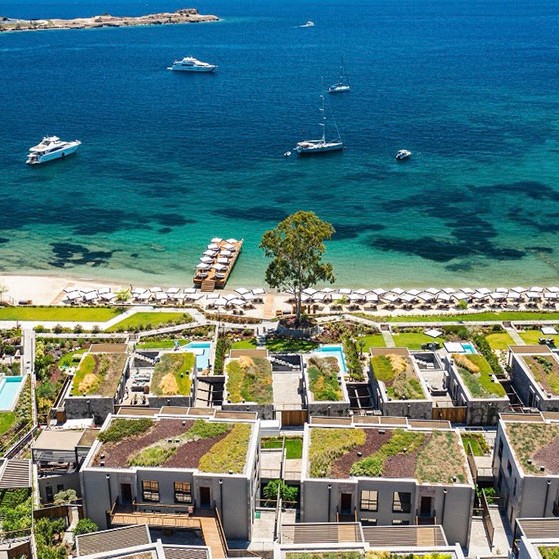 Michelin Yıldızlı Şef Dokunuşu: Salicorne İtalyan Restoranı