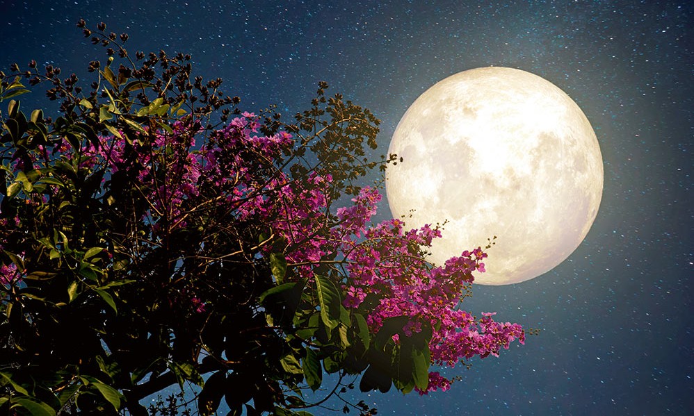 Astrolojiye göre ‘bu yaz’ hangi tarihte nereye gitmeli?