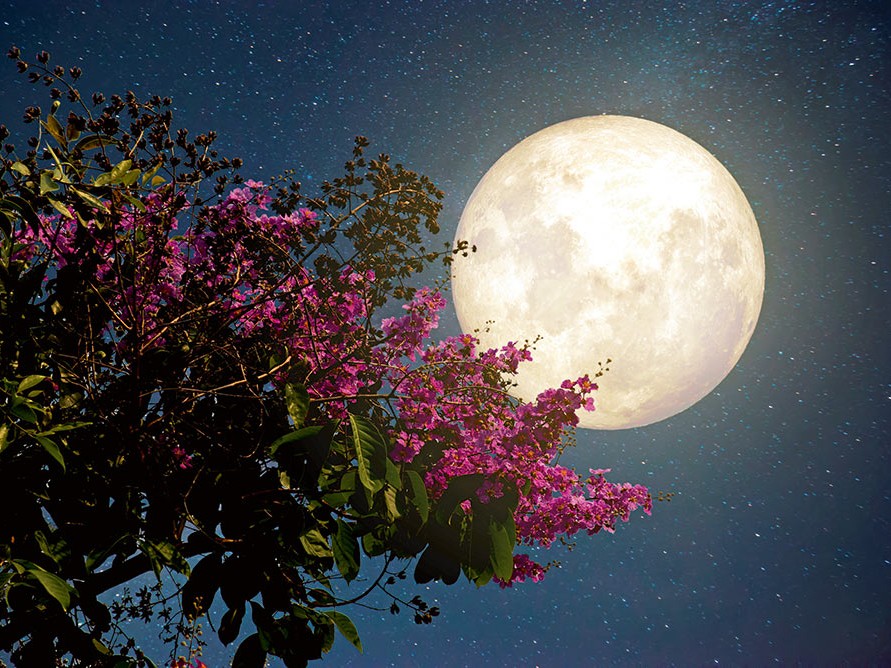 Astrolojiye göre ‘bu yaz’ hangi tarihte nereye gitmeli?