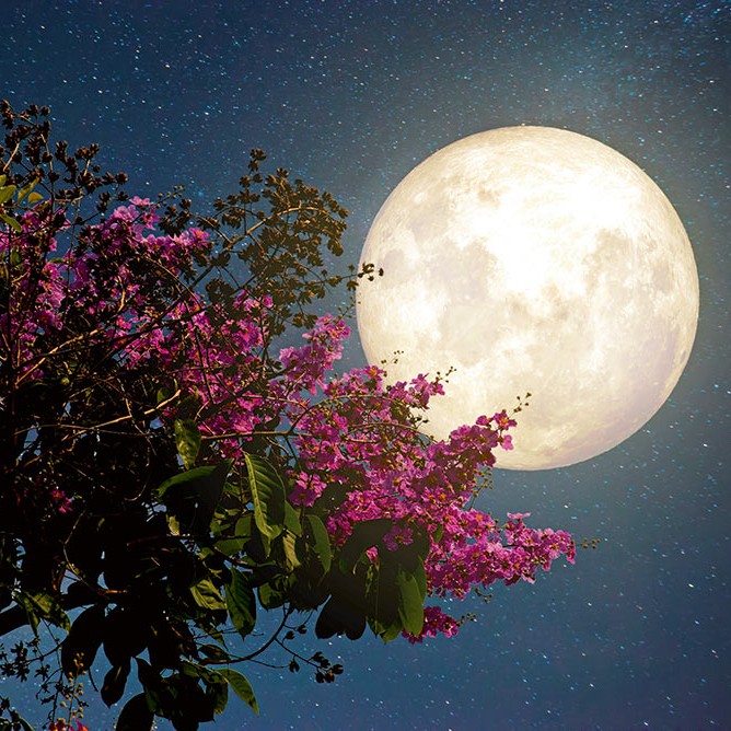 Astrolojiye göre ‘bu yaz’ hangi tarihte nereye gitmeli?